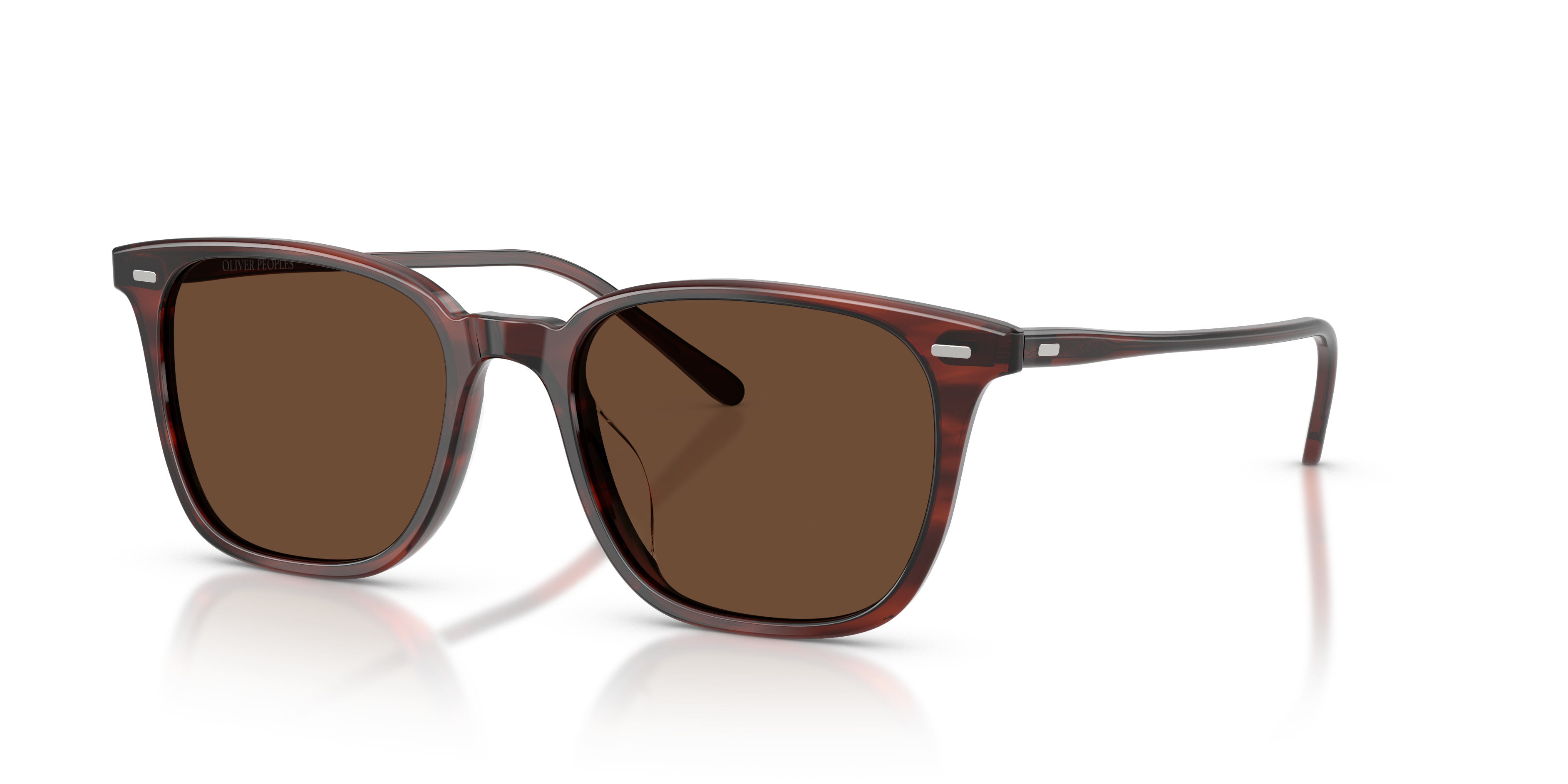 Oliver Peoples Laedin with Morado Tortoise frame and Terra
