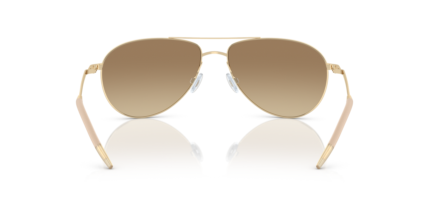 Oliver Peoples Benedict with Gold frame and Brown lenses - Image Nosepads