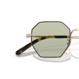 Oliver Peoples Holender with Gold frame - Variant