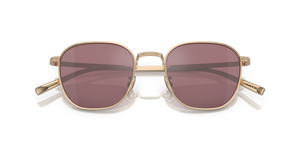Oliver Peoples Rynn con montura Oro y lentes Violeta - El 6