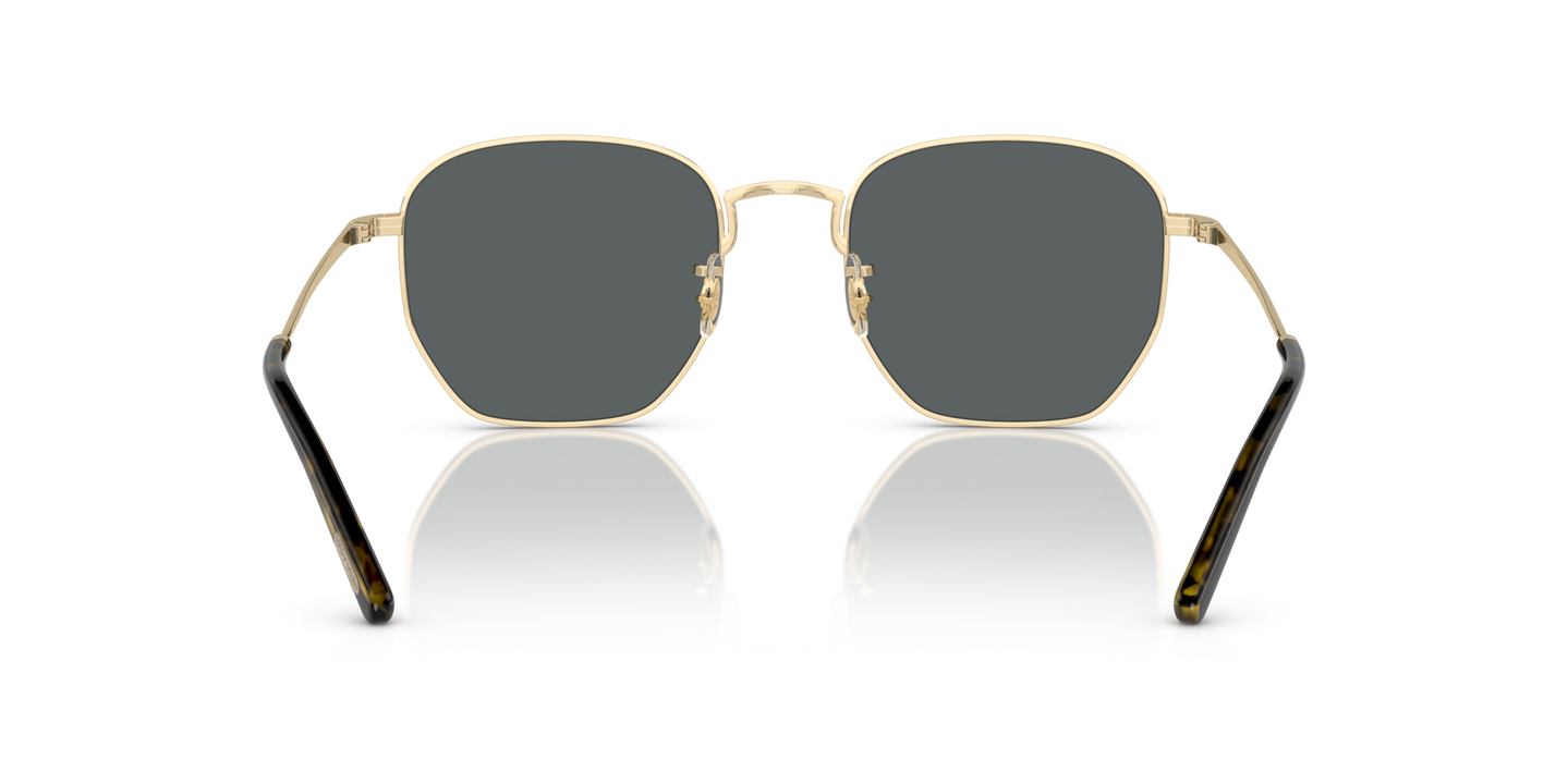Oliver Peoples Kierney Sun avec une monture Or et des verres Gris - Image Plaquettes de nez