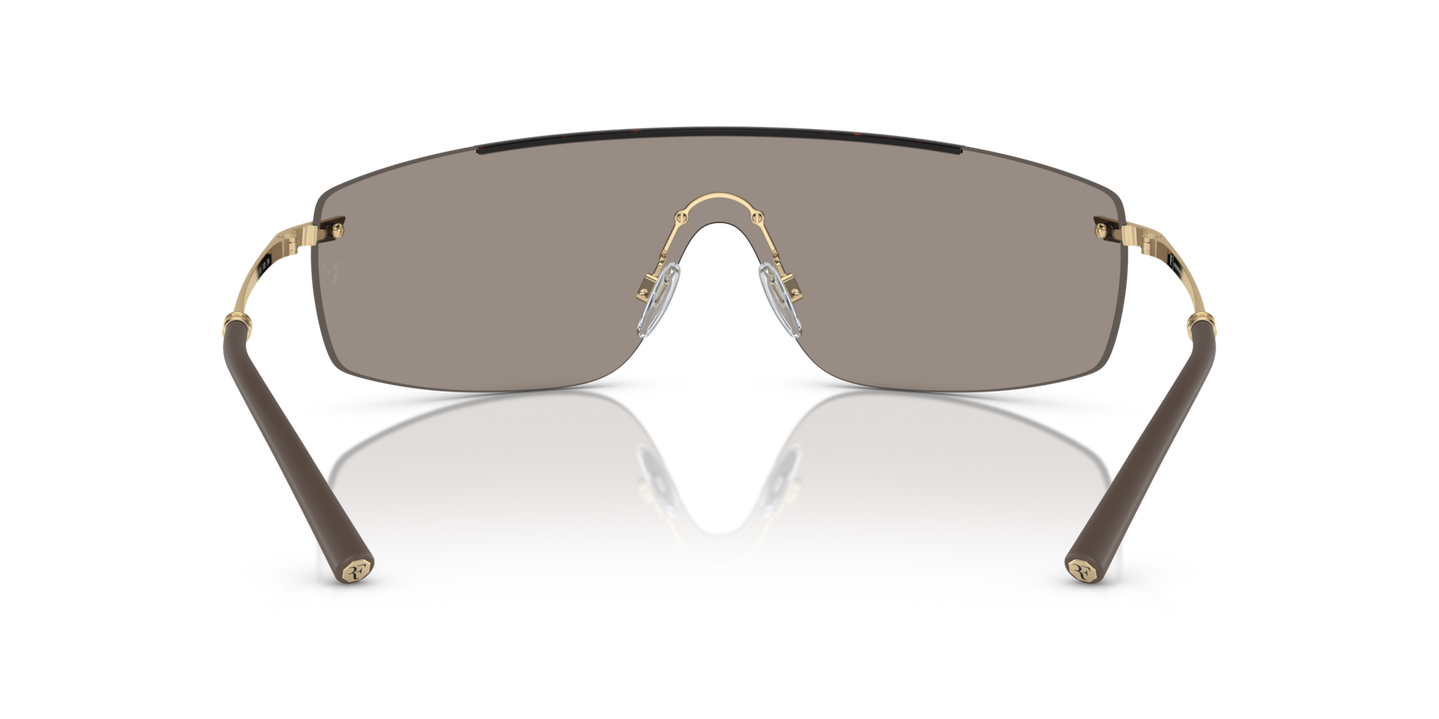 Oliver Peoples R-5 avec une monture Écaille de tortue/Or et des verres Or - Image Plaquettes de nez
