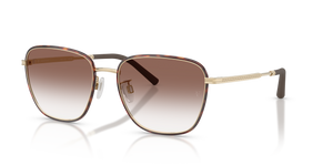 Oliver Peoples R-18 con montura Dorado satinado / Caoba oscuro y lentes Marrón - imagen 1