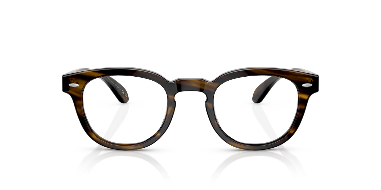 Oliver Peoples Sheldrake Low Bridge Fit avec monture Écorce - Image Plaques