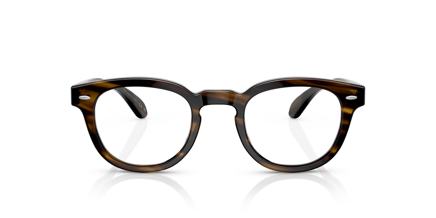 Oliver Peoples Sheldrake Low Bridge Fit avec monture Écorce - Image Plaques