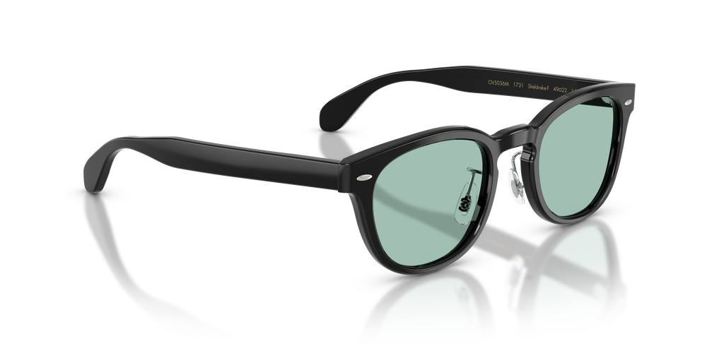 Oliver Peoples Sheldrake-F mit Schwarz Gestell - Das Bild 3