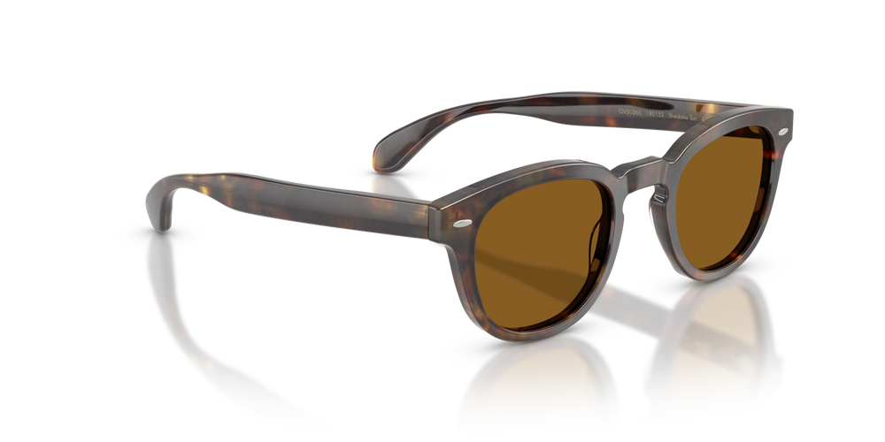 Sie Oliver Peoples Sheldrake Sun mit DTB Gestell und Braun Gläsern - bild 3