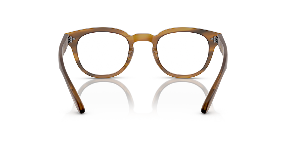 Oliver Peoples Sheldrake avec monture Semi-Matte Raintree - image 5
