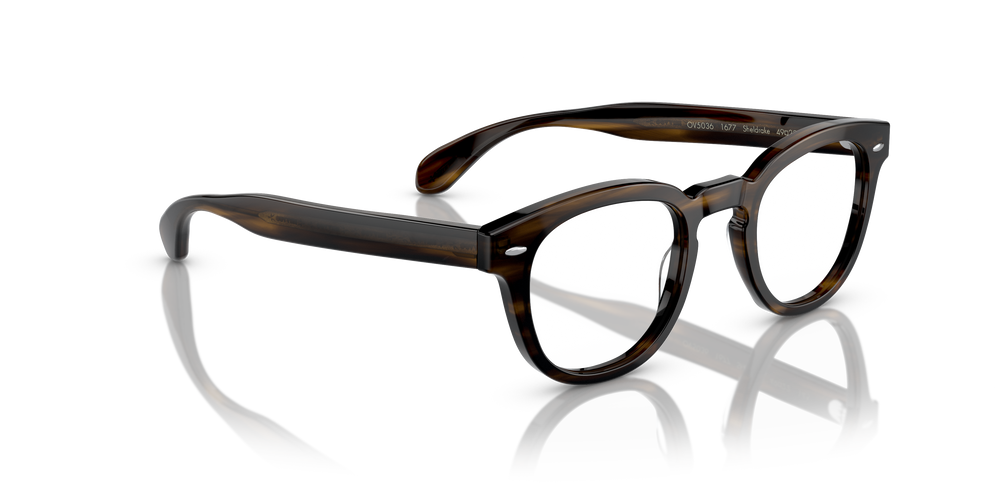 Oliver Peoples Sheldrake mit Rinde Gestell - Das Bild 3