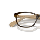 Oliver Peoples Follies with Tortoise-Cream frame - Variant