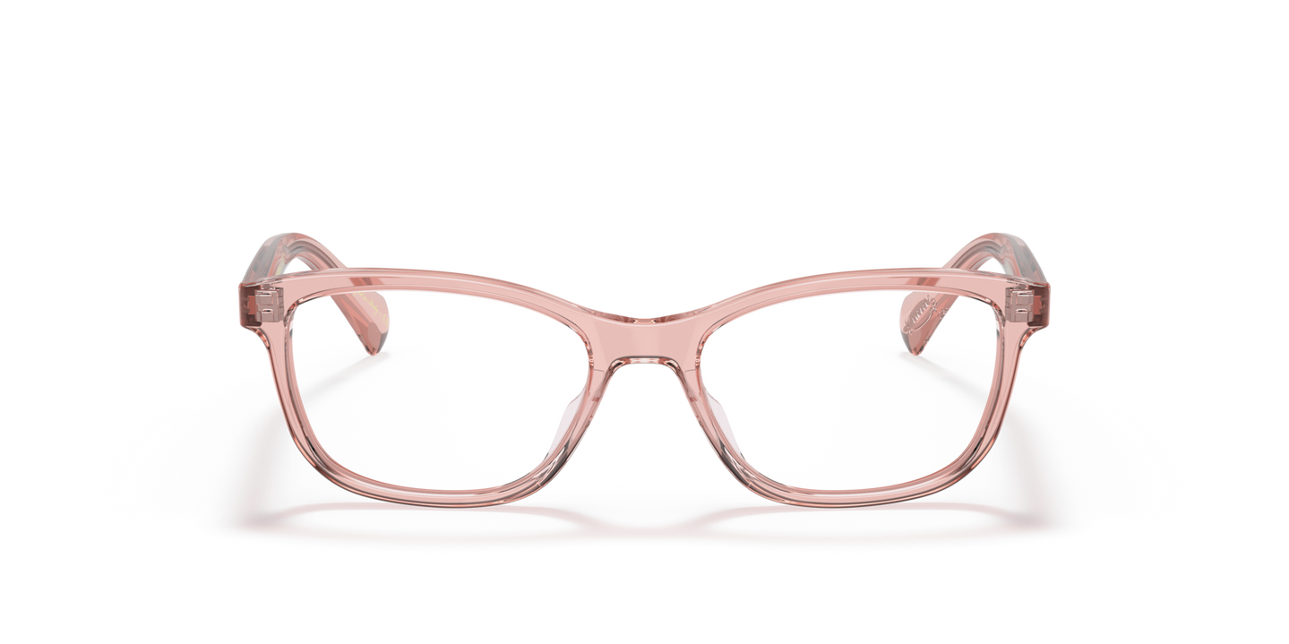 Oliver Peoples Follies with Washed Rose frame - Image Material