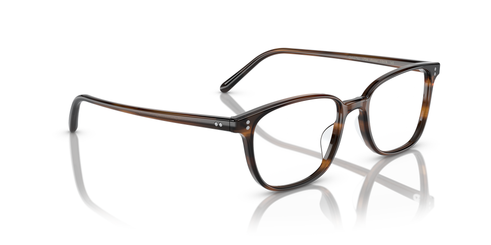 Oliver Peoples Maslon mit Tortoise Toskana Gestell - Das Bild 3