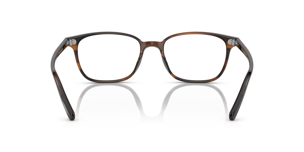 Oliver Peoples Maslon mit Tortoise Toskana Gestell - Das Bild 5