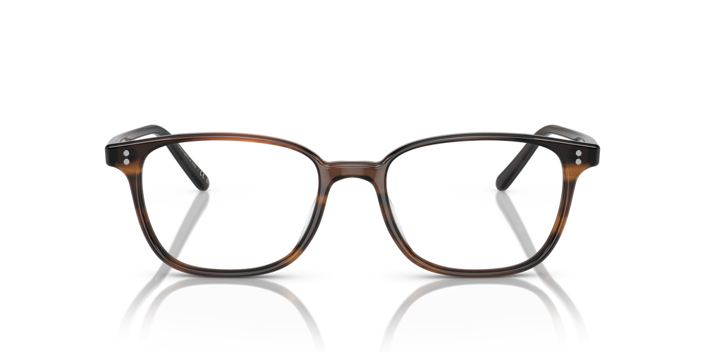 Oliver Peoples Maslon mit Tortoise Toskana Gestell - Das Bild 2
