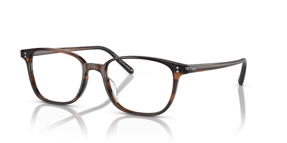 Oliver Peoples Maslon mit Tortoise Toskana Gestell - Bild 6