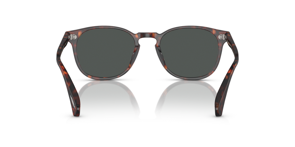 Oliver Peoples Finley Esq. Sun con montura Tortuga y negro marta cibelina semimate y lentes Verde - imagen 5