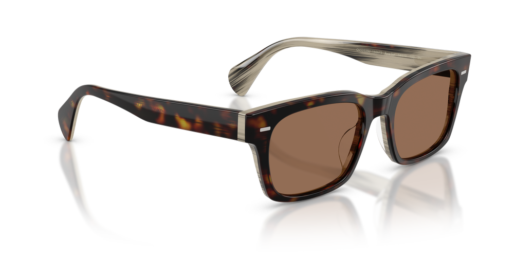 Oliver Peoples Ryce Sun avec une monture 362/Corne et des verres Brun - L'image 3