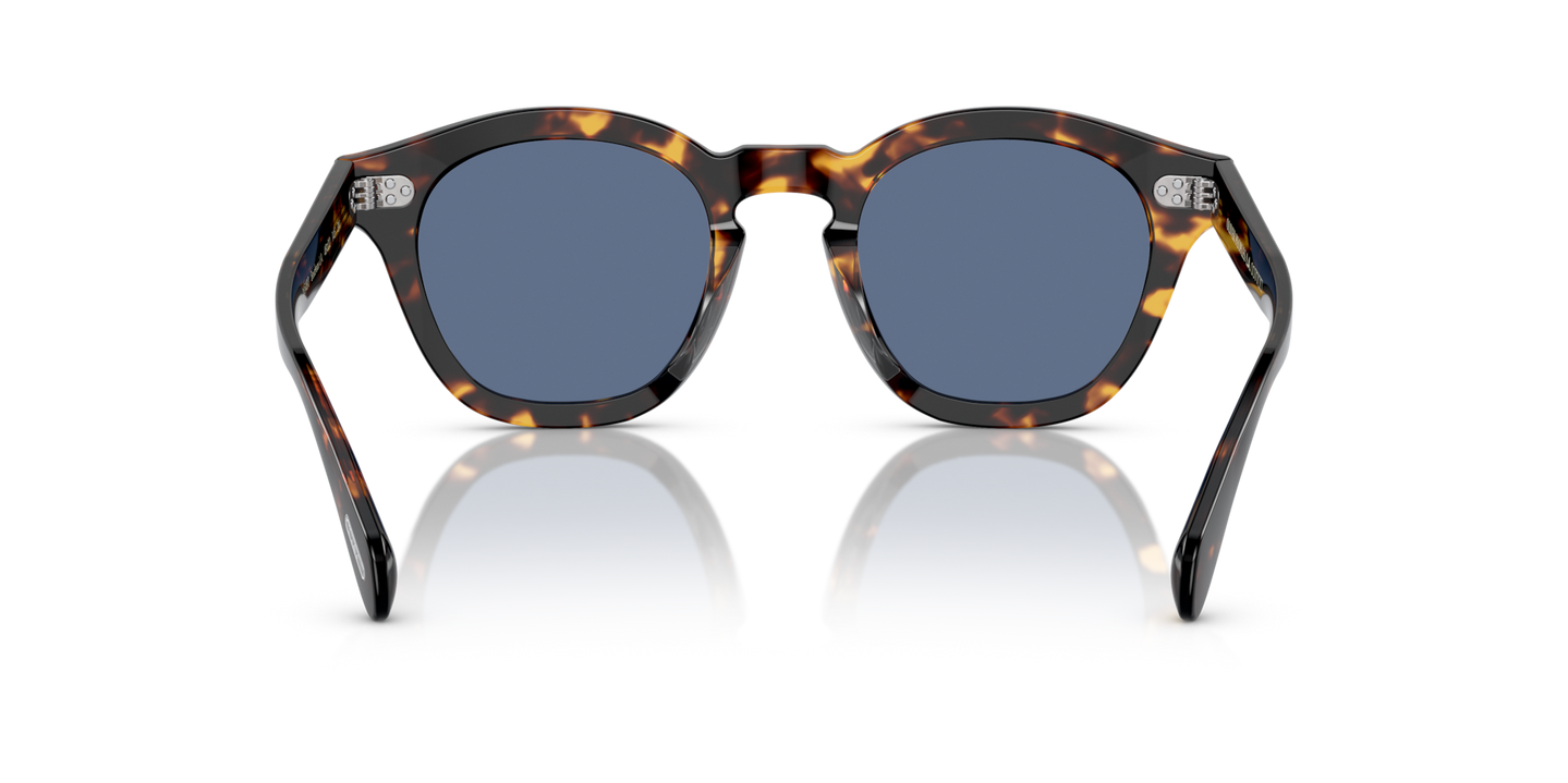 Oliver Peoples Boudreau L.A avec une monture DM2 et des verres Bleu - Image Plaquettes de nez