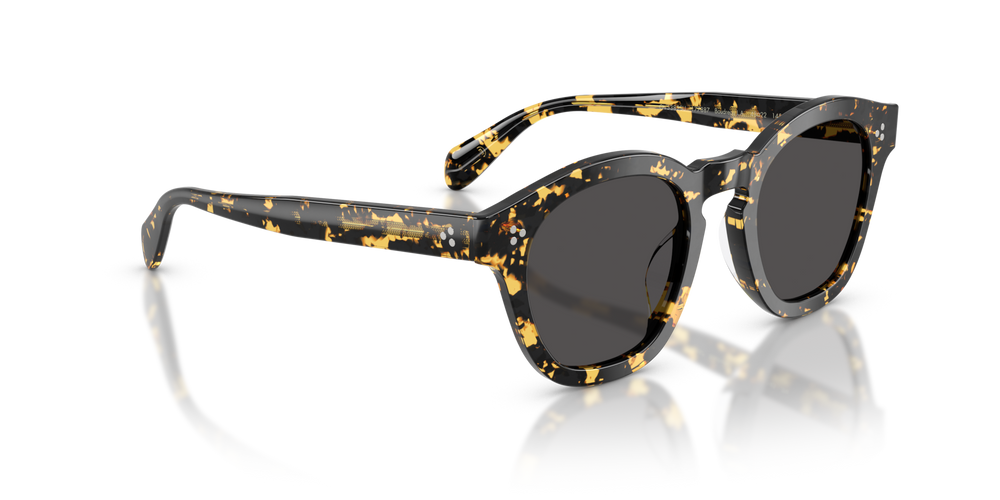 Oliver Peoples Boudreau L.A avec une monture Écaille de tortue Tokyo et des verres Gris - image 3