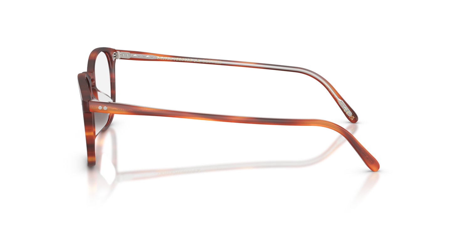 Oliver Peoples Finley Vintage avec monture Écaille de tortue koala semi-mat - Image Points