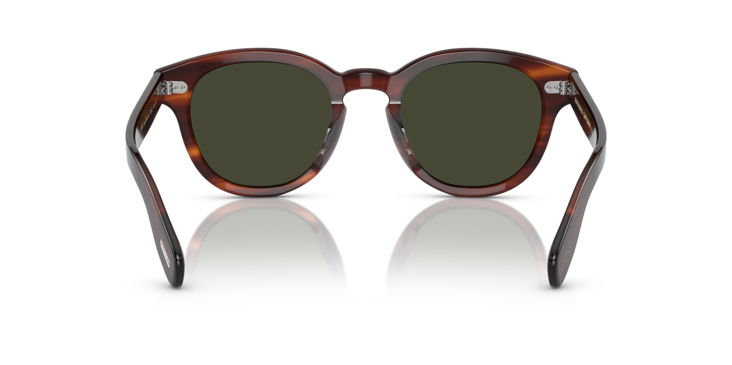 Oliver Peoples Cary Grant Sun with Grant Tortoise frame and Green lenses - Image Nosepads
