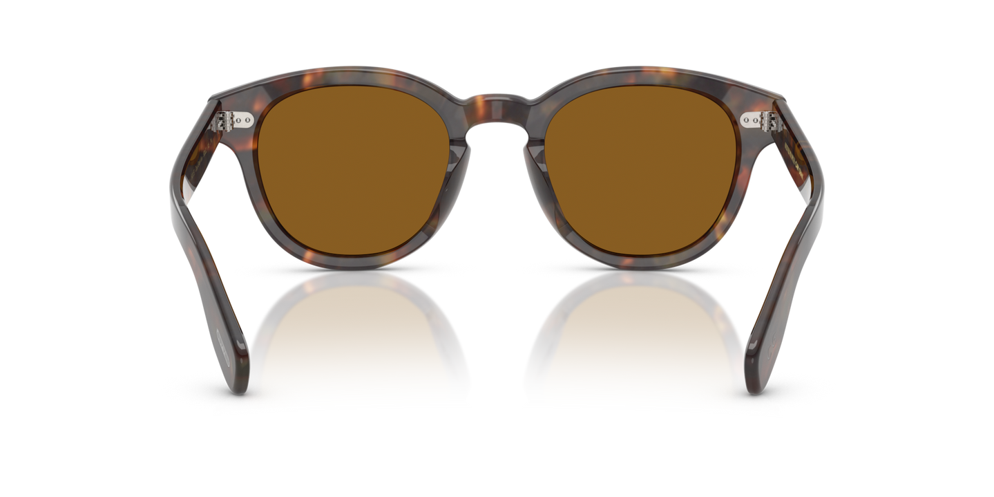 Oliver Peoples Cary Grant Sun avec une monture DTB et des verres Brun - Image Plaquettes de nez