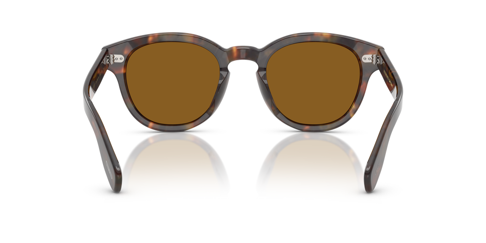 Oliver Peoples Cary Grant Sun avec une monture DTB et des verres Brun - L'image 5