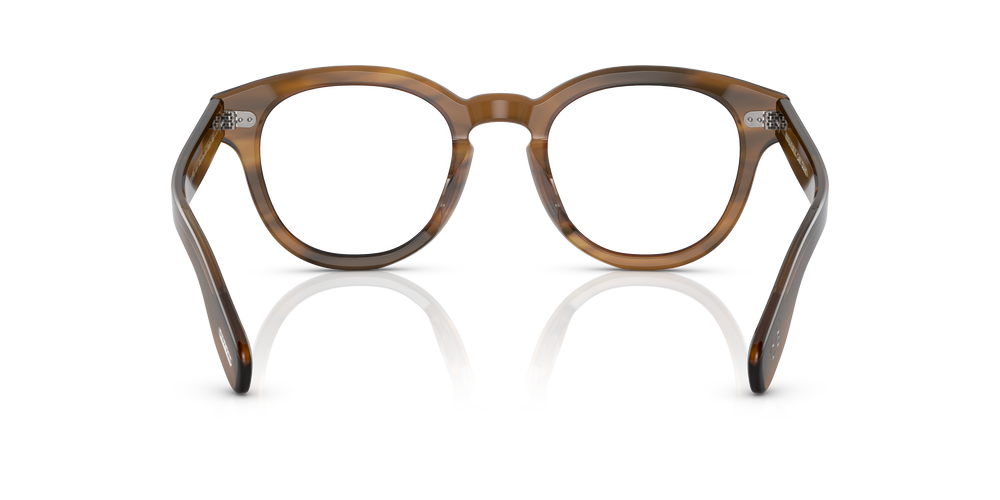 Oliver Peoples Cary Grant con montatura Raintree - L'immagine 5