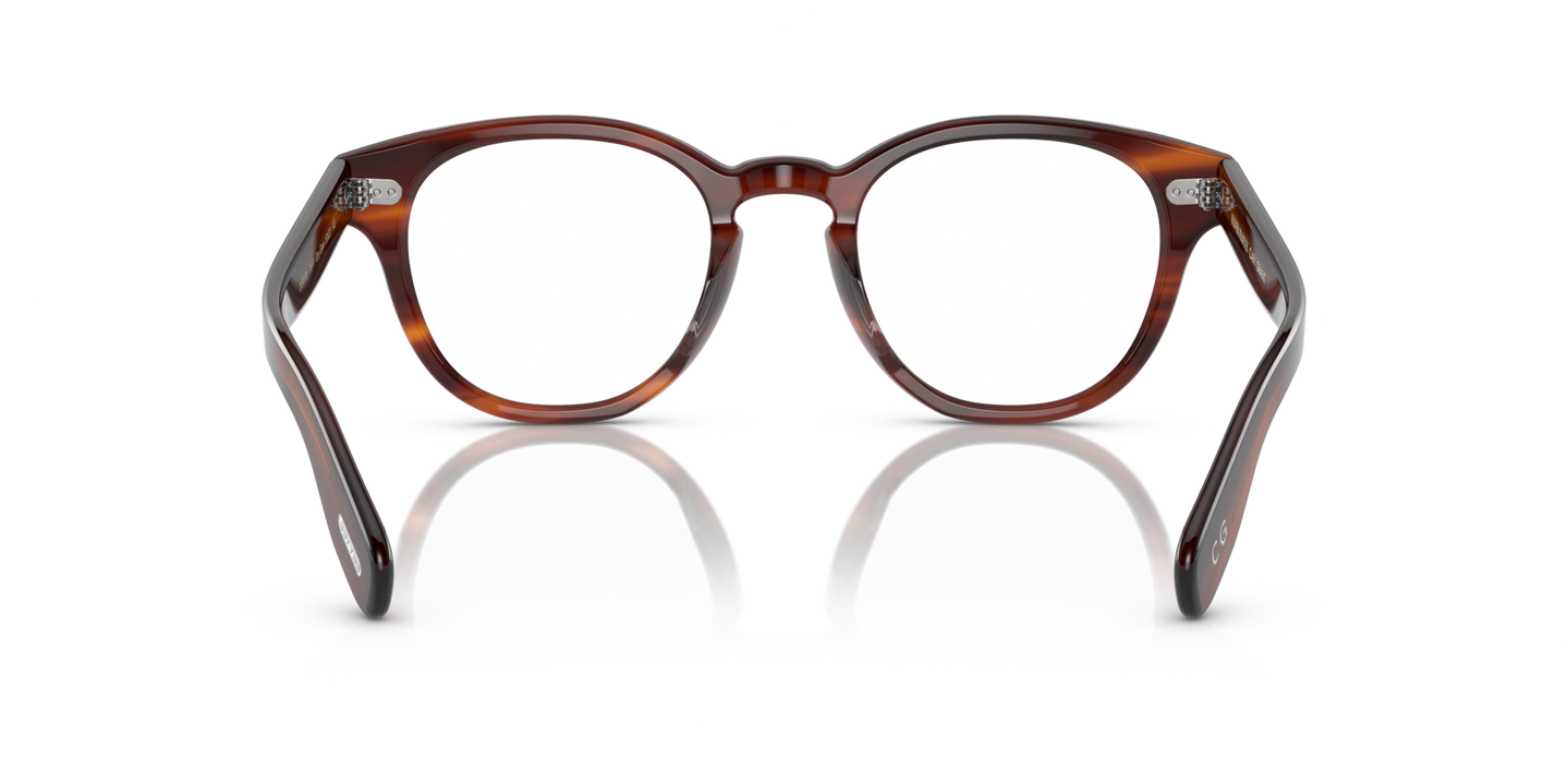 Oliver Peoples Cary Grant with Grant Tortoise frame - Image Nosepads