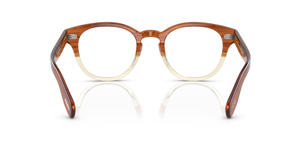 Oliver Peoples Cary Grant con montatura Amber VSB - L'immagine 5