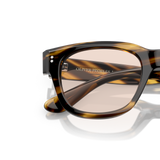 Oliver Peoples Shiller avec monture Cocobolo - Variant