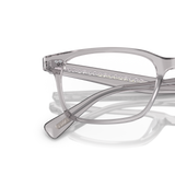 Oliver Peoples Nisen mit Workman Grau Gestell - Variant