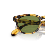 Oliver Peoples Sheldrake 1950 with YTB frame and Green lenses - Variant