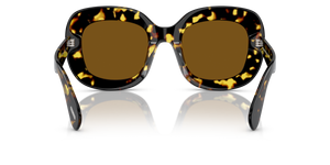 Oliver Peoples Jesson avec une monture Vintage DTB et des verres Brun - image 5