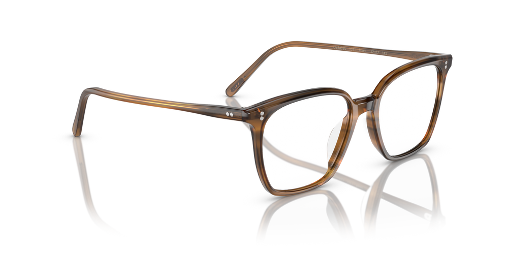 Oliver Peoples Rasey con montatura Raintree - immagine 3