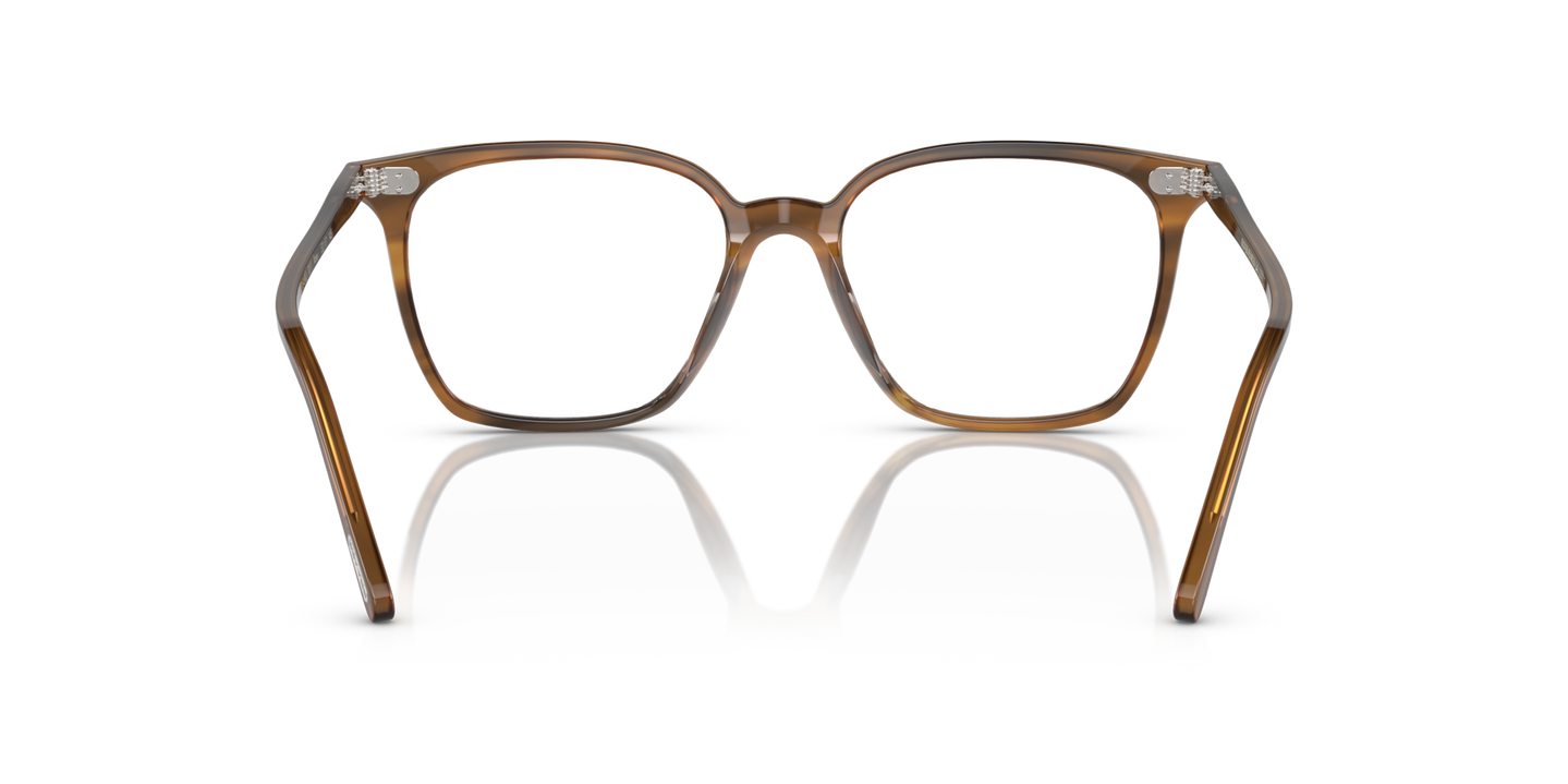 Oliver Peoples Rasey with Raintree frame - Image Nosepads