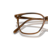 Oliver Peoples Rasey with Raintree frame - Variant