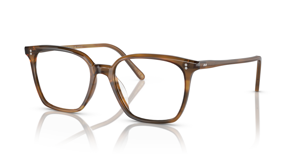 Oliver Peoples Rasey avec monture Raintree - L'image 5