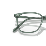 Oliver Peoples Rasey with Ivy frame - Variant