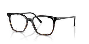 Oliver Peoples Rasey avec monture Dégradé 362/Noir - L'image 1