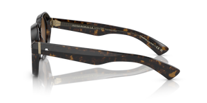 Oliver Peoples Cassavet avec une monture Walnut Tortoise et des verres Brun - L'image 4