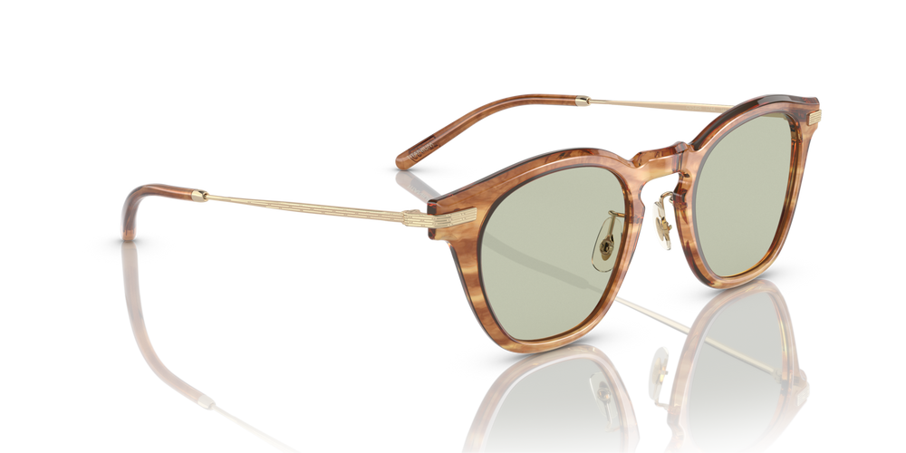 Oliver Peoples Len con montatura Hinoki Tortoise/Brushed Gold - immagine 3