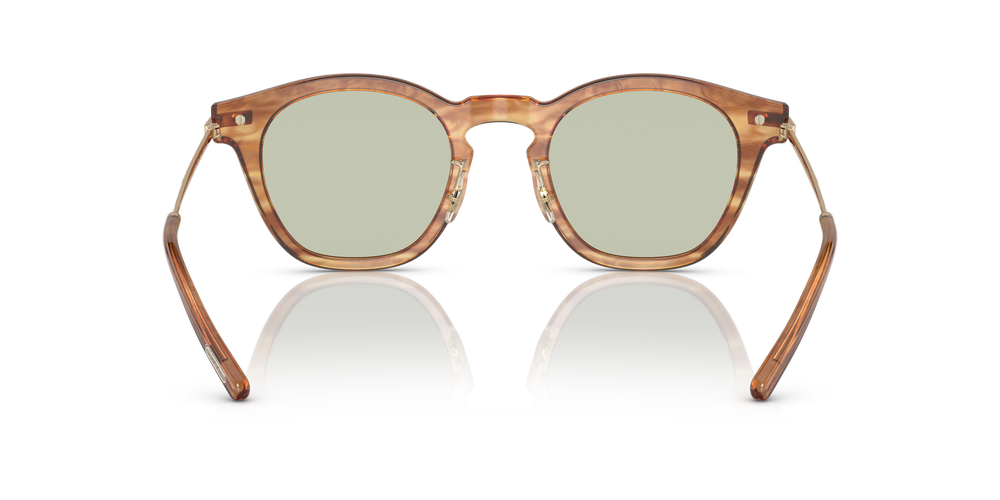 Oliver Peoples Len with Hinoki Tortoise/Brushed Gold frame - Image 5