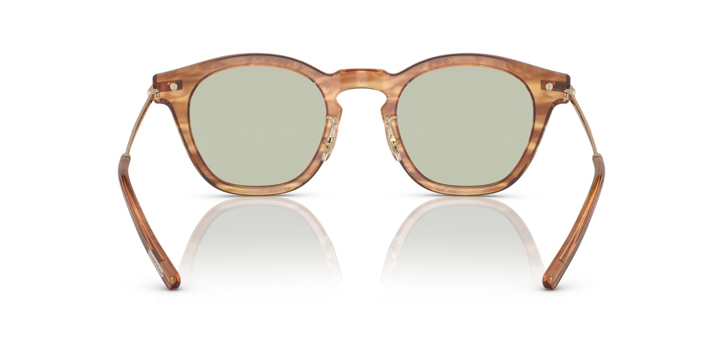Oliver Peoples Len con montatura Hinoki Tortoise/Brushed Gold - Immagine Naselli