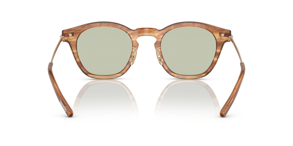 Oliver Peoples Len con montatura Hinoki Tortoise/Brushed Gold - immagine 5