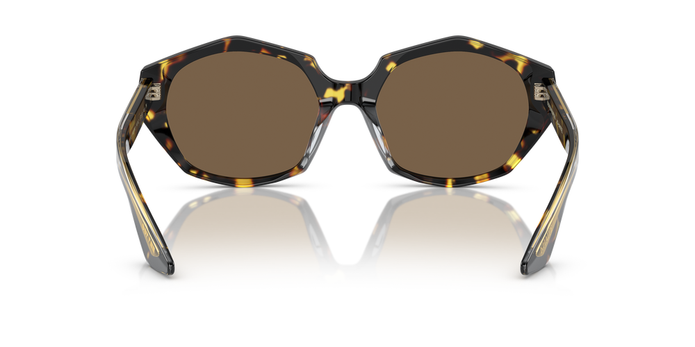 Oliver Peoples 1971C con montatura Vintage DTB e lenti  Marrone - L'immagine 6