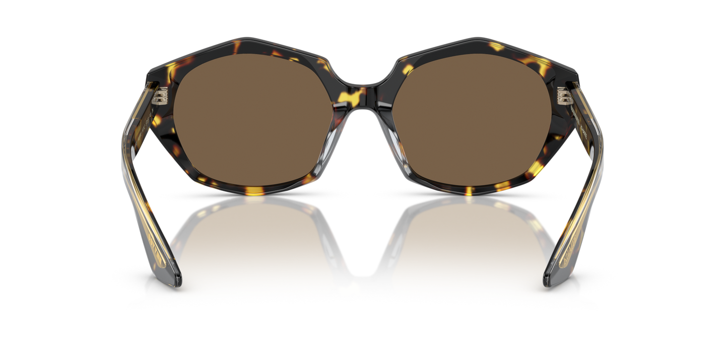Oliver Peoples 1971C con montatura Vintage DTB e lenti  Marrone - Immagine Naselli