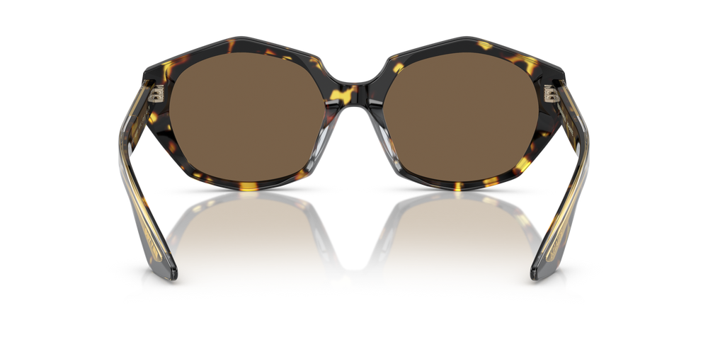 Oliver Peoples 1971C con montatura Vintage DTB e lenti  Marrone - immagine 5