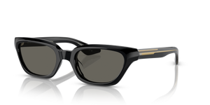 Oliver Peoples 1983C with Black frame and Grey lenses - image 1