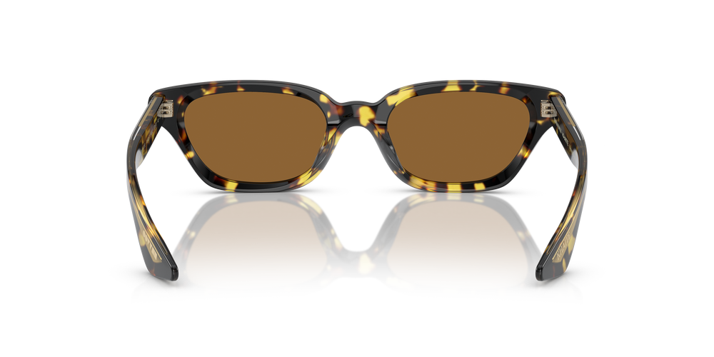 Oliver Peoples 1983C con montatura Vintage DTB e lenti  Marrone - L'immagine 5